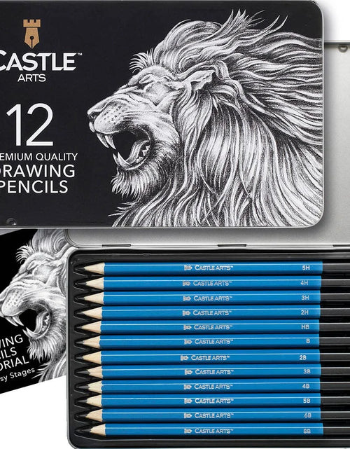 Load image into Gallery viewer, 12 Pack Sketching &amp; Drawing Pencils Set
